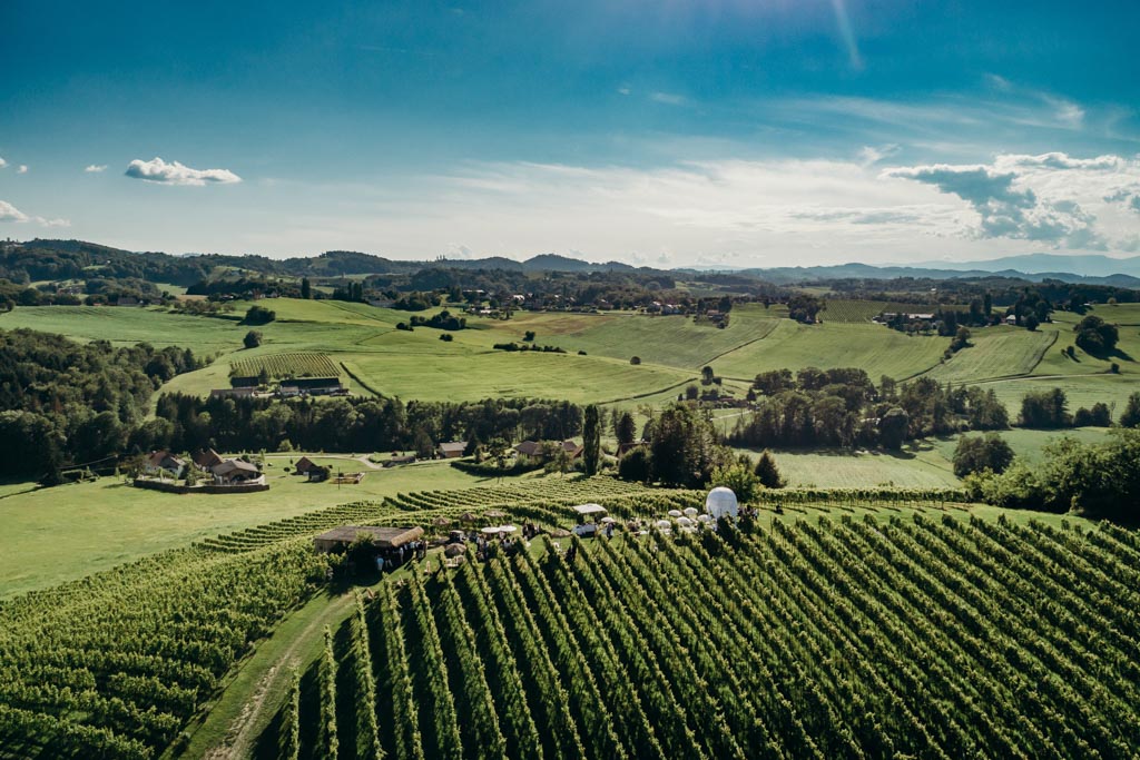 PetraChristoph 017 - Hochzeitsfotograf Weingut