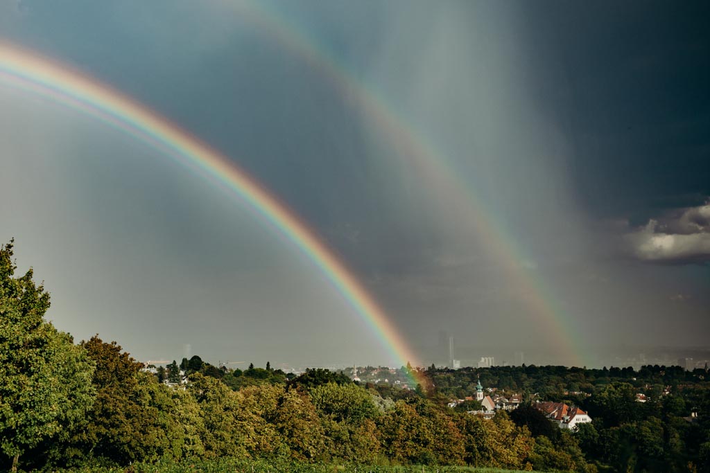 Reisenberg Wien 068 - Hochzeitsfotograf Reisenberg Wien