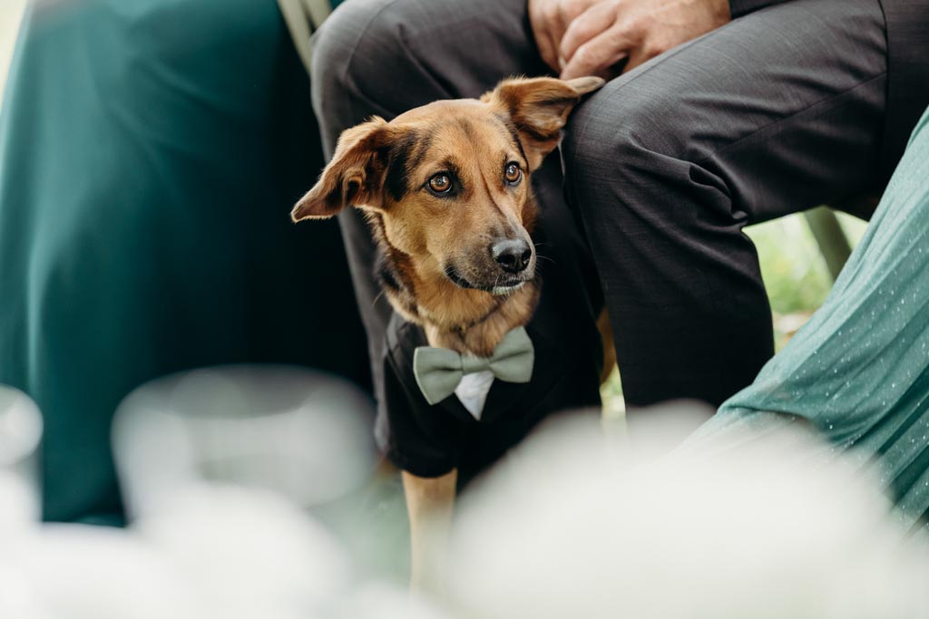 AnnikaDaniel 030 - Als Hochzeitsfotograf am Gut Guntrams