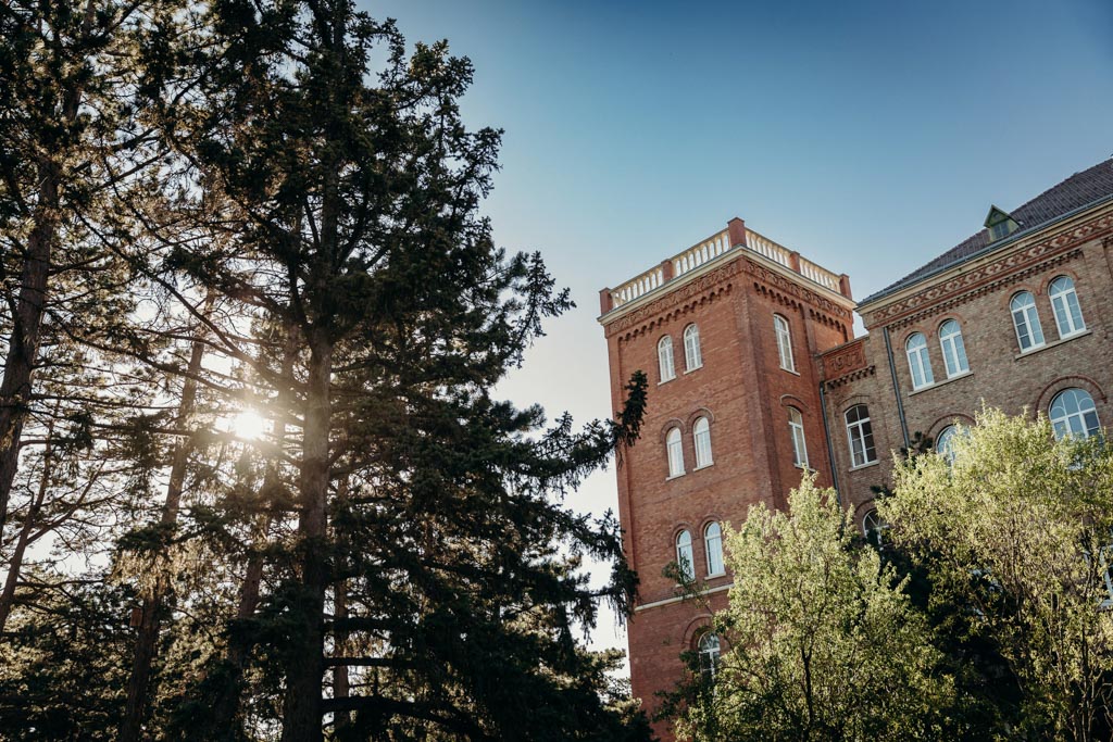 Hochzeitsfotos Gabrium Gabrium MariaEnzersdorf 001 - Hochzeitsfotos Gabrium