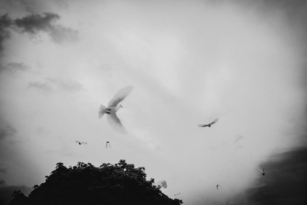 SchlossLaxenburg 021 - Hochzeit Laxenburg