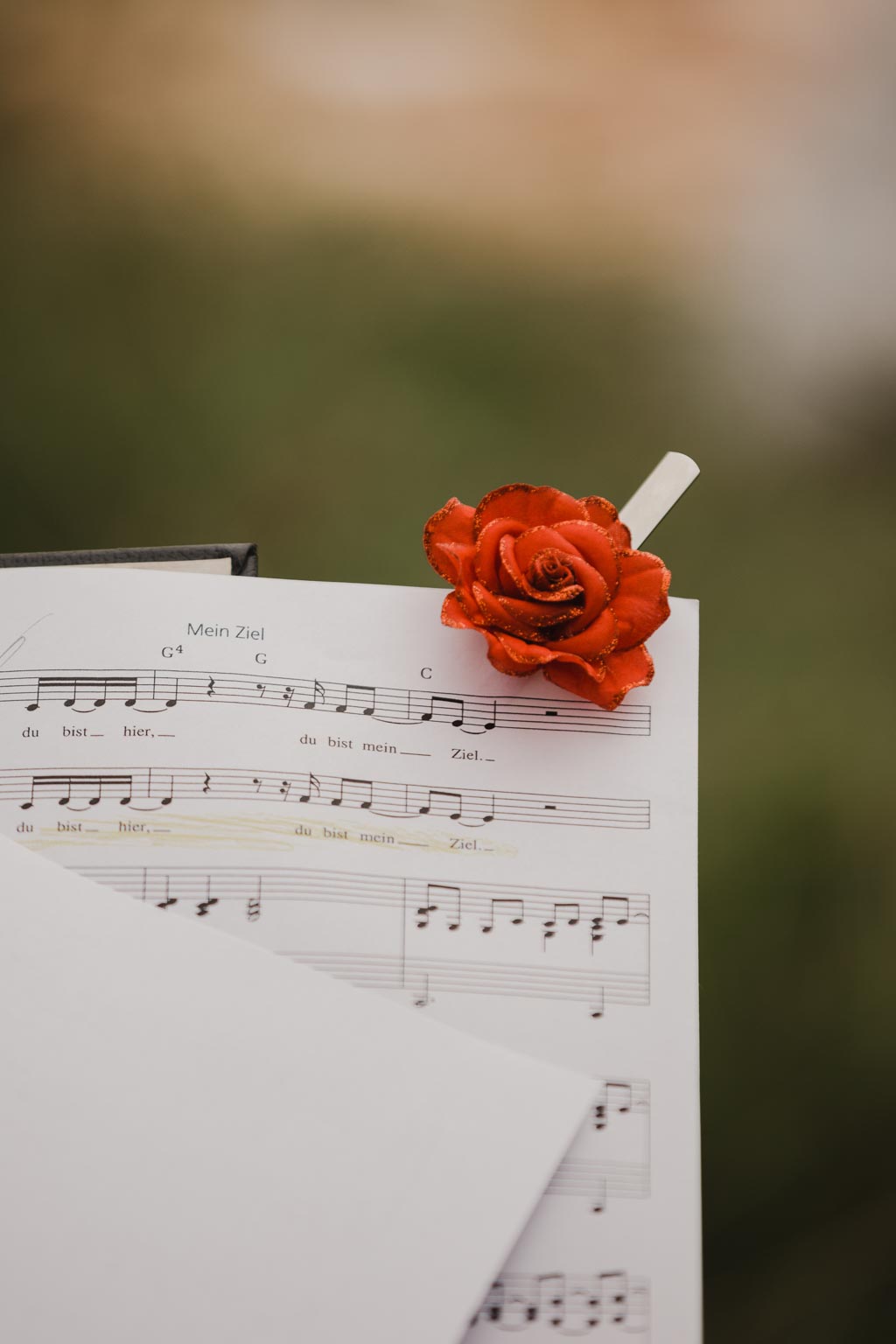 Waldhochzeit waldhochzeit detail - Waldhochzeit