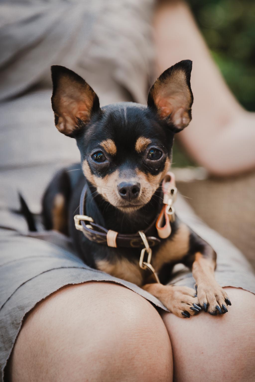 Vintage Hochzeit witzige hochzeitsfotos vintage hochzeit - Vintage Hochzeit